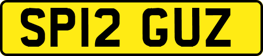 SP12GUZ