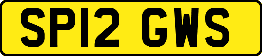 SP12GWS