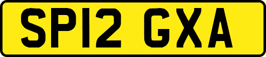 SP12GXA