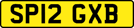 SP12GXB