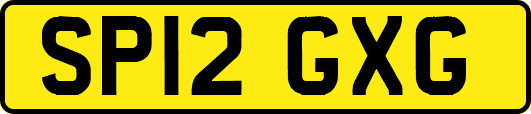 SP12GXG