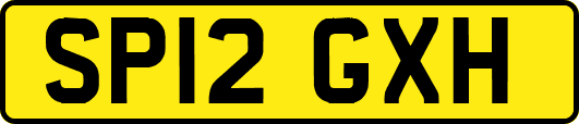 SP12GXH