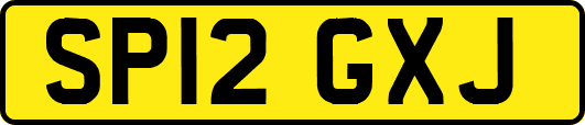 SP12GXJ