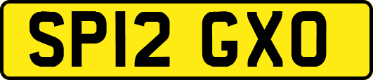 SP12GXO