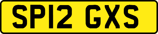 SP12GXS