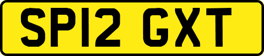 SP12GXT