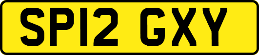 SP12GXY