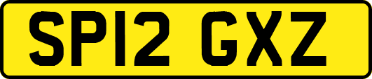 SP12GXZ