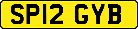 SP12GYB