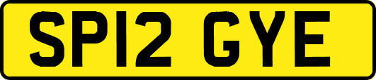 SP12GYE