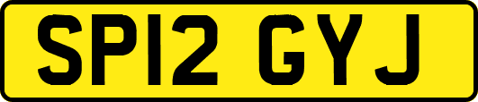 SP12GYJ