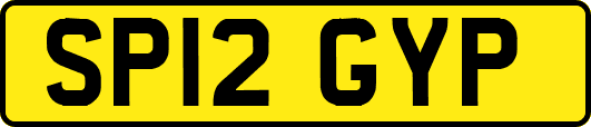 SP12GYP
