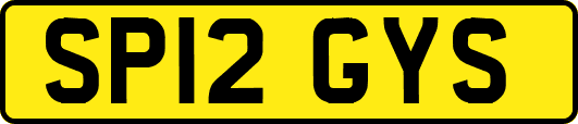 SP12GYS