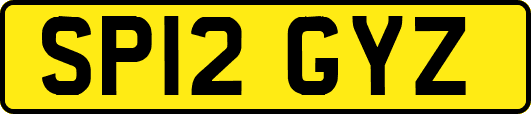 SP12GYZ