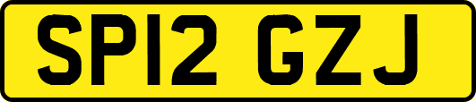 SP12GZJ