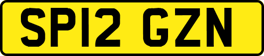 SP12GZN