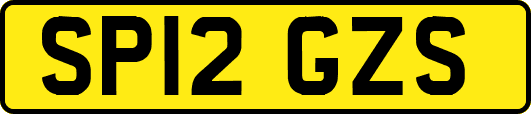 SP12GZS