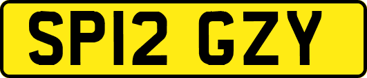 SP12GZY