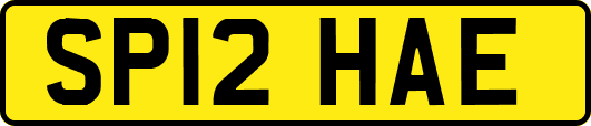 SP12HAE