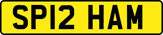 SP12HAM