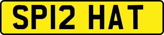 SP12HAT