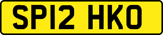SP12HKO