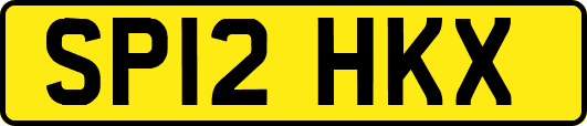 SP12HKX