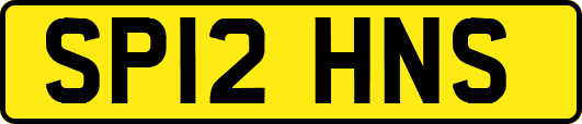 SP12HNS