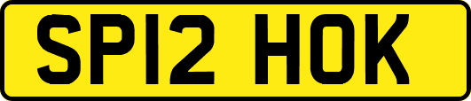 SP12HOK