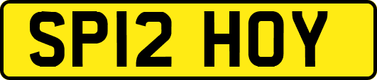 SP12HOY