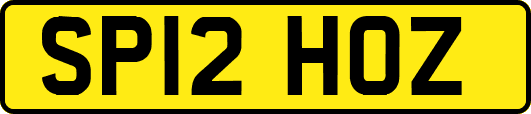 SP12HOZ