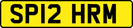 SP12HRM