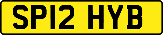 SP12HYB