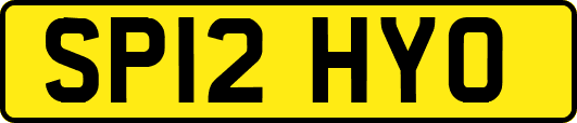 SP12HYO