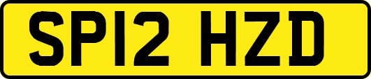 SP12HZD