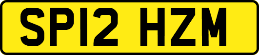SP12HZM