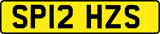 SP12HZS