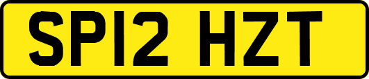 SP12HZT
