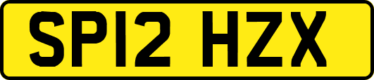 SP12HZX
