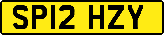 SP12HZY