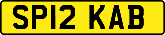 SP12KAB
