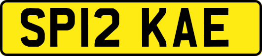 SP12KAE