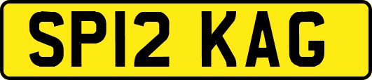 SP12KAG