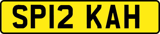SP12KAH