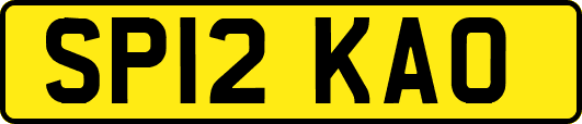 SP12KAO