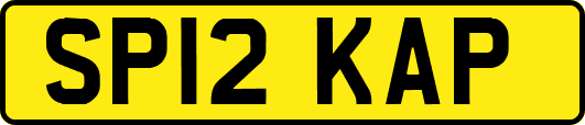 SP12KAP