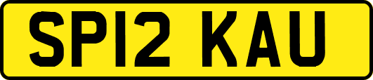 SP12KAU