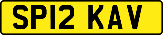 SP12KAV