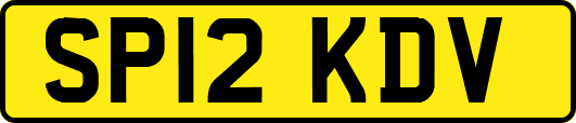 SP12KDV