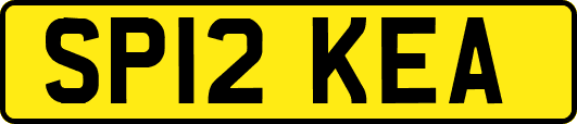 SP12KEA